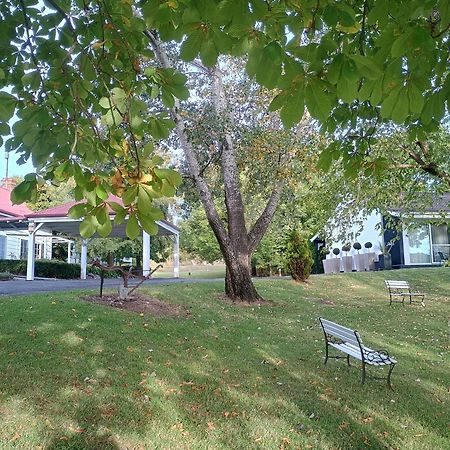 Moore Park Inn Армідейл Екстер'єр фото