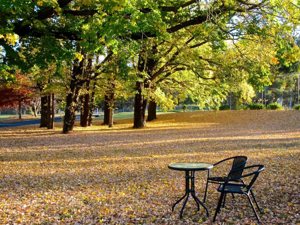 Moore Park Inn Армідейл Екстер'єр фото